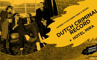 Dutch Criminal Record