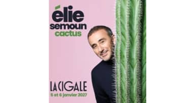 Élie Semoun