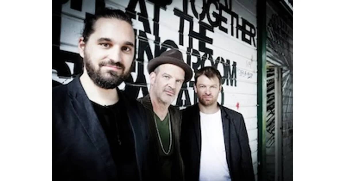 Rare Birds – Internationales Musikfestival 2026 - Rare Birds Tagesticket