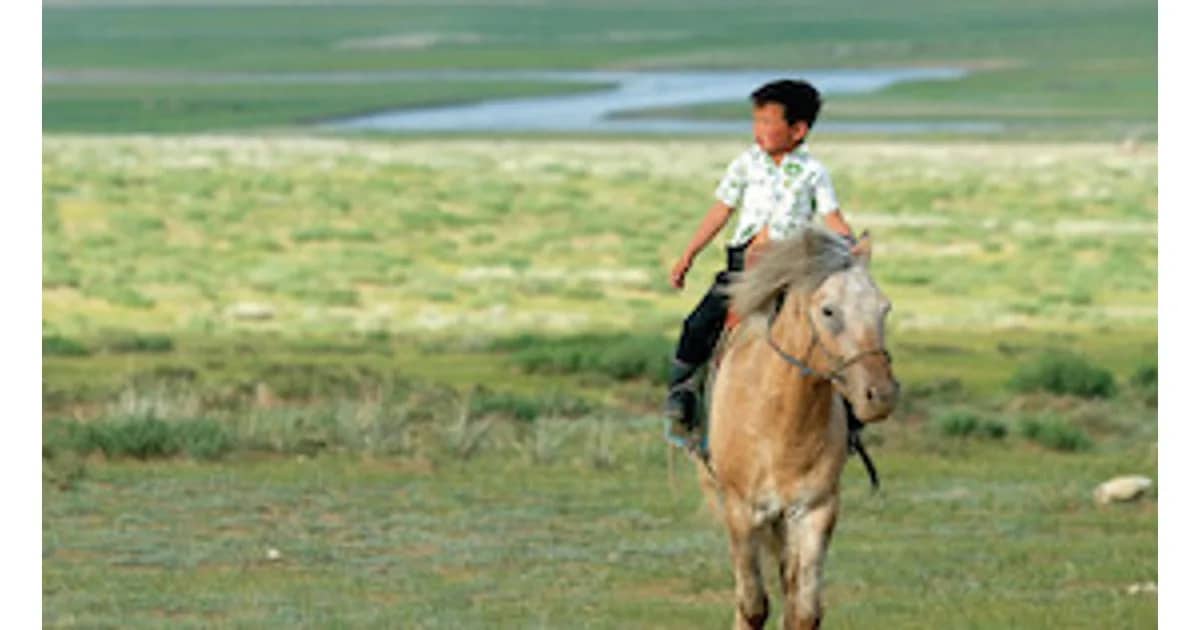 weltimsucher26/27 - Mongolei – Gobi, Steppe und Altai