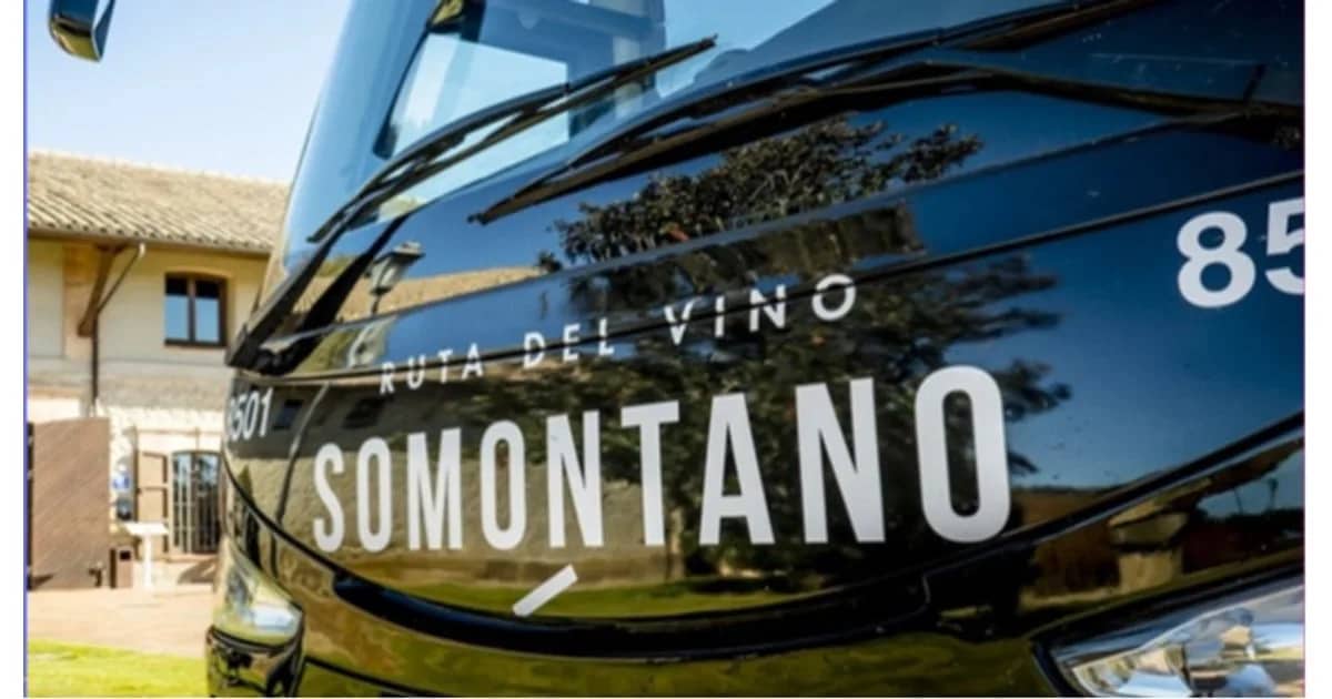 Bus del Vino Somontano - A la vendimia