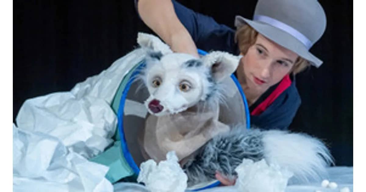 Lichtgestöber Schneegefunkel