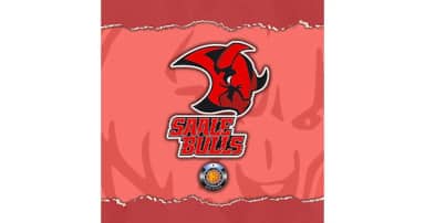 Saale Bulls Halle