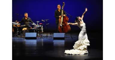Ensemble madrugá flamenca