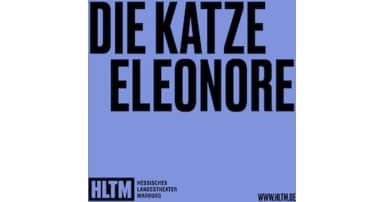 Die Katze Eleonore
