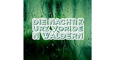Die Nacht kurz vor den Wäldern
