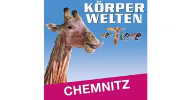 KÖRPERWELTEN der Tiere