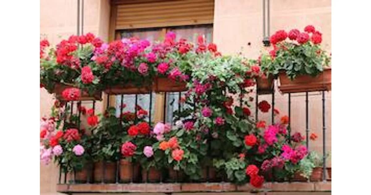 Ein Spanischer Frühling