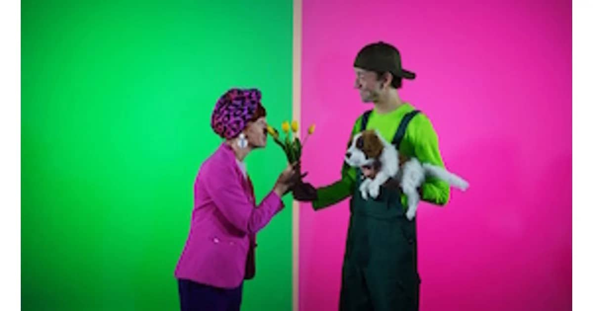 Ding Dong - Multimedia-Show
