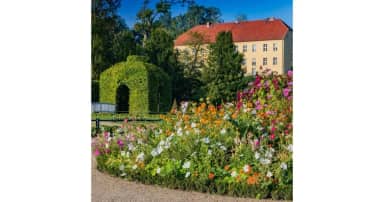 Kultur im Klostergarten