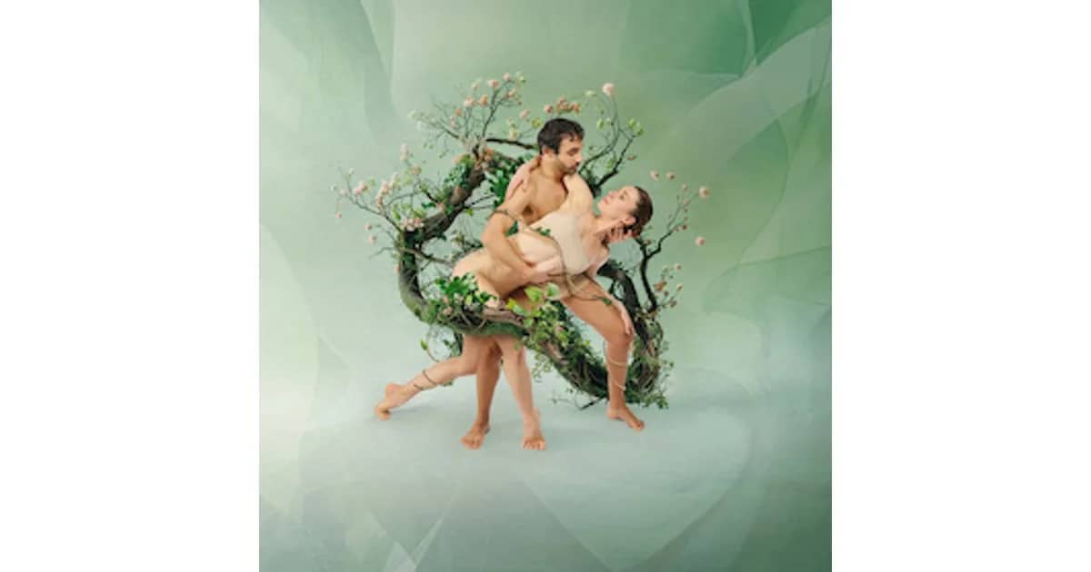 Liebesgeflechte - Ballett von Alba Castillo und Francesca Frassinelli