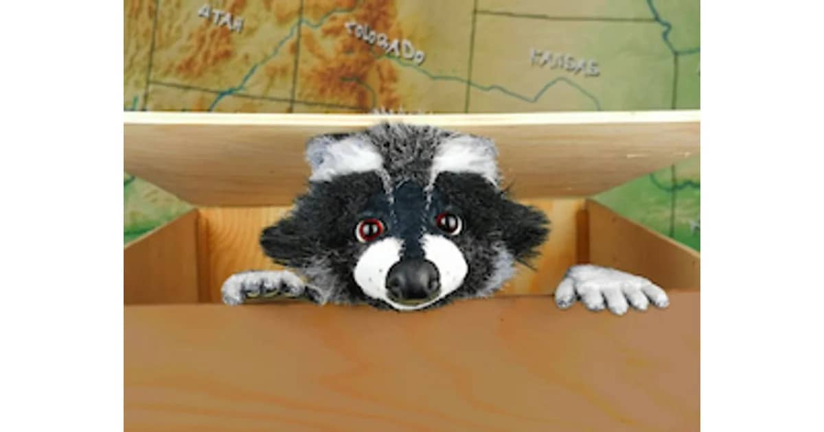 Rocky Waschbär - Der Apfelkuchendieb (ab 4 Jahren)