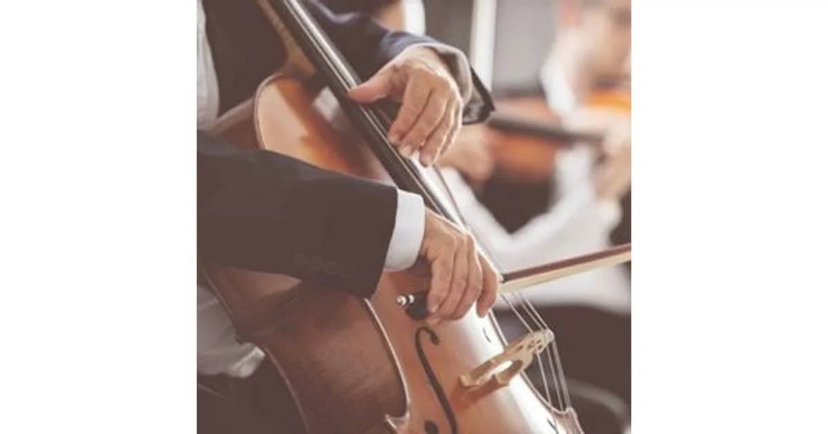Beethoven 9 - u.a. mit der Neubrandenburger Philharmonie