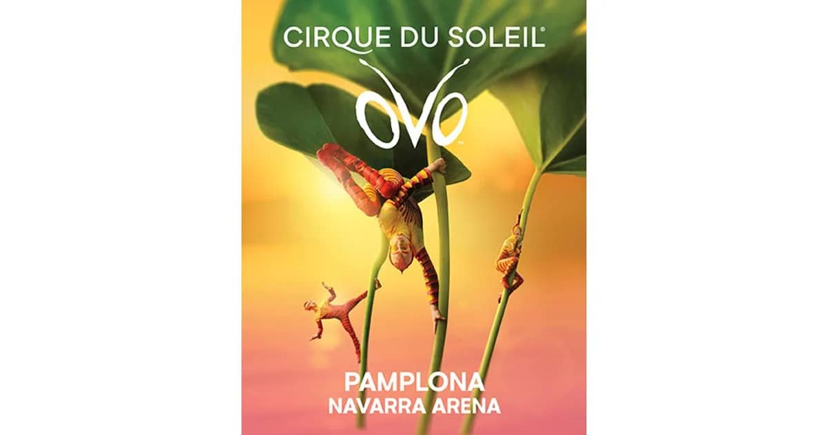Cirque Du Soleil - Ovo