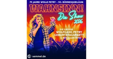 WAHNSINN! Die Show Band
