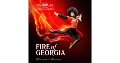 FIRE OF GEORGIA