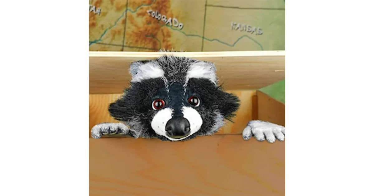 2025/26 - 2. Halbjahr - Kinderkultur - marotte Theater - Rocky Waschbär