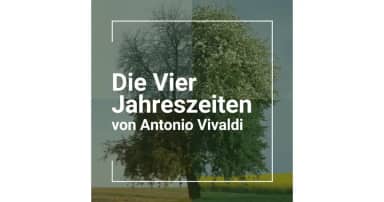 Kammerorchester der Neuen Philharmonie Hamburg