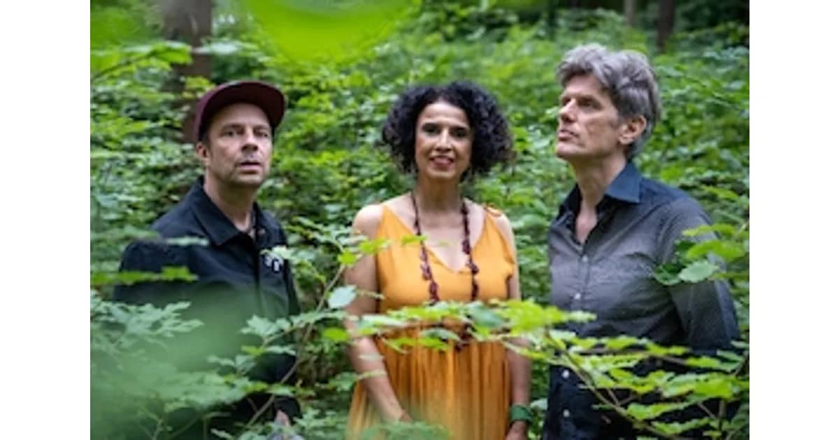 Paula Morelenbaums „Bossarenova Trio“ - Levitar