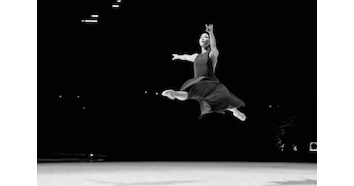 Hamburger Kammerballett / Sophie Pacini - Hamburger Kammerballett / Sophie Pacini