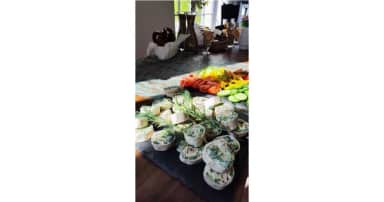 Brunch