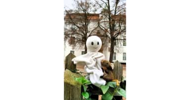 die Tiere