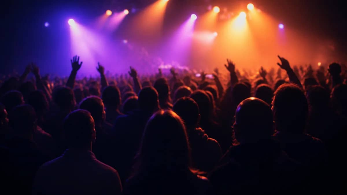 A live music performance.