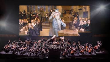 Harry Potter and the Goblet of Fire (TM)
