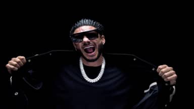 DJ Pauly D