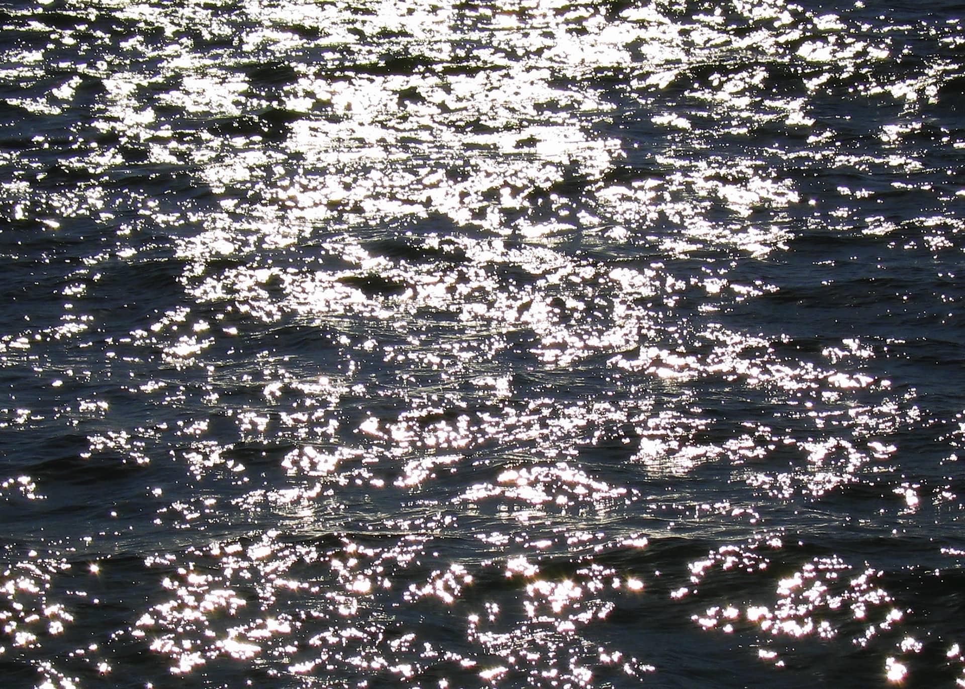 Alfredo Jaar