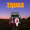 Trinix