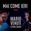 Mario Venuti