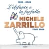 Michele Zarrillo