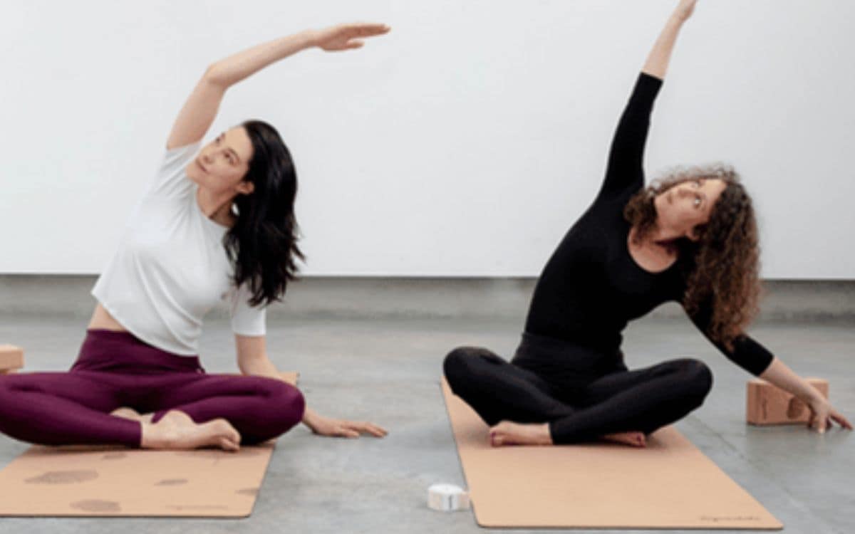 30h - Formation "Yogathérapie et douleurs" event image