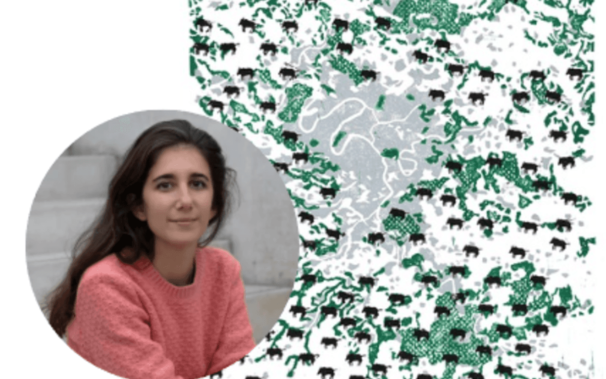 Faire la ville avec les vivants : rencontre conférence avec Léa Mosconi et les étudiants de l'ENSA Belleville event image