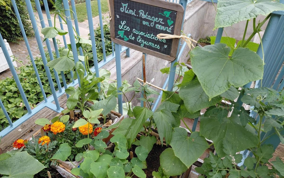 Maison du Jardinage-Pôle ressource Jardinage Urbain