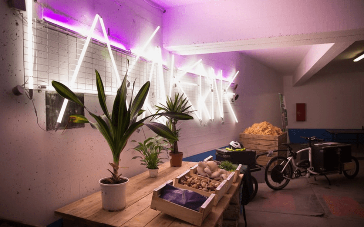Visite - À la découverte de la ferme urbaine « La Caverne » event image