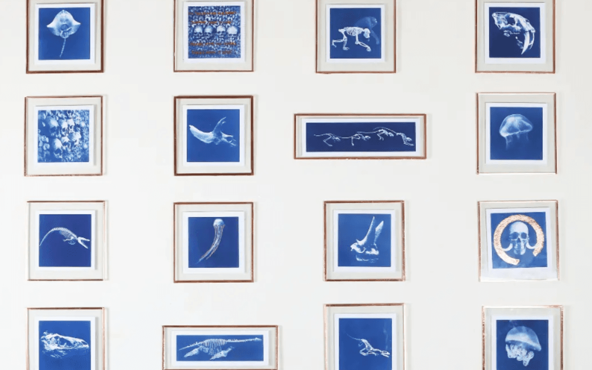 Exposition - Soraya Meunier event image