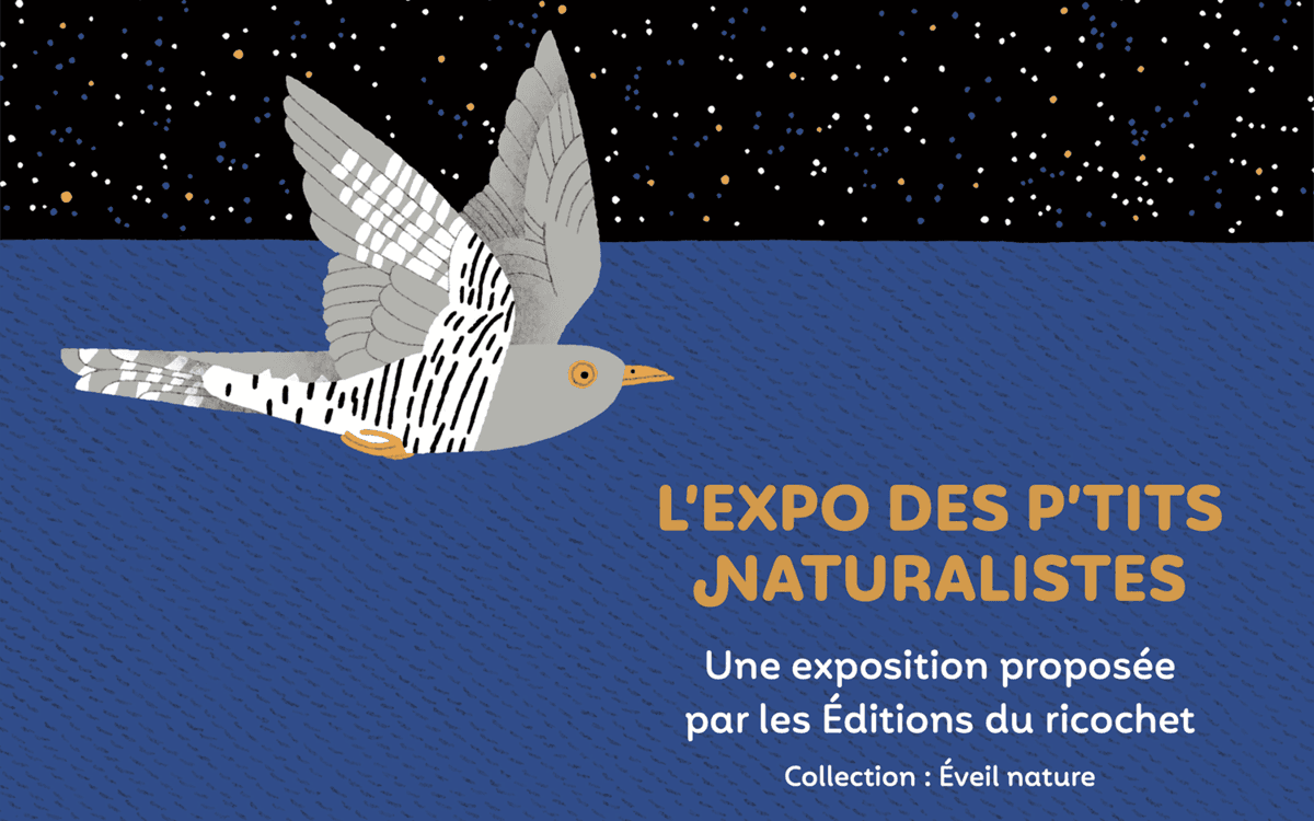 Exposition | Les P'tits naturalistes event image