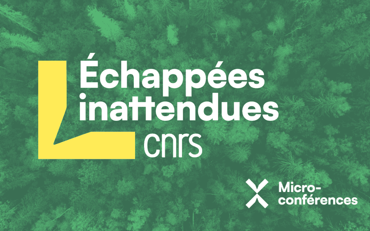 Echappées inattendues : la bioinspiration event image
