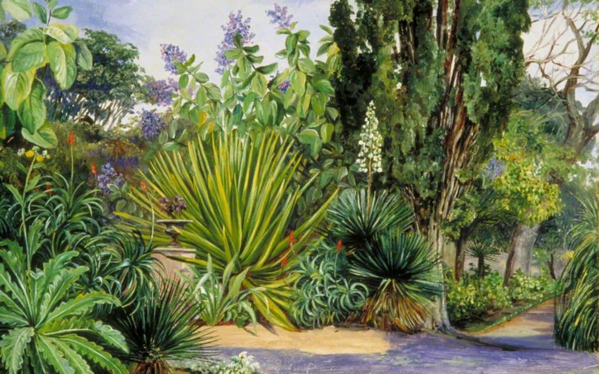 L'empire de la nature : eine Geschichte der kolonialen botanischen Gärten event image