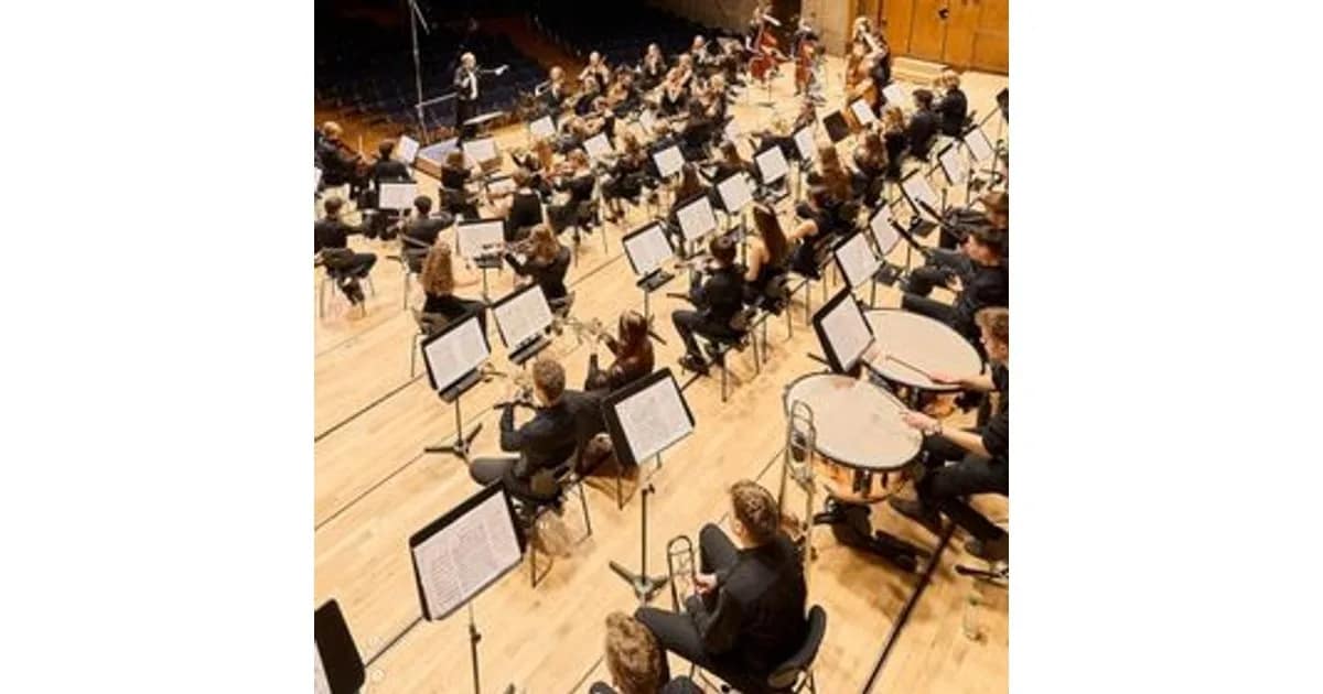 Sinfoniekonzert event image