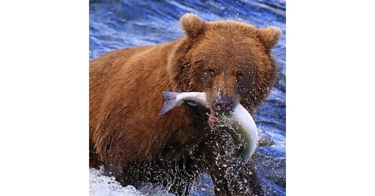 Alaska und der Südwesten der USA event image