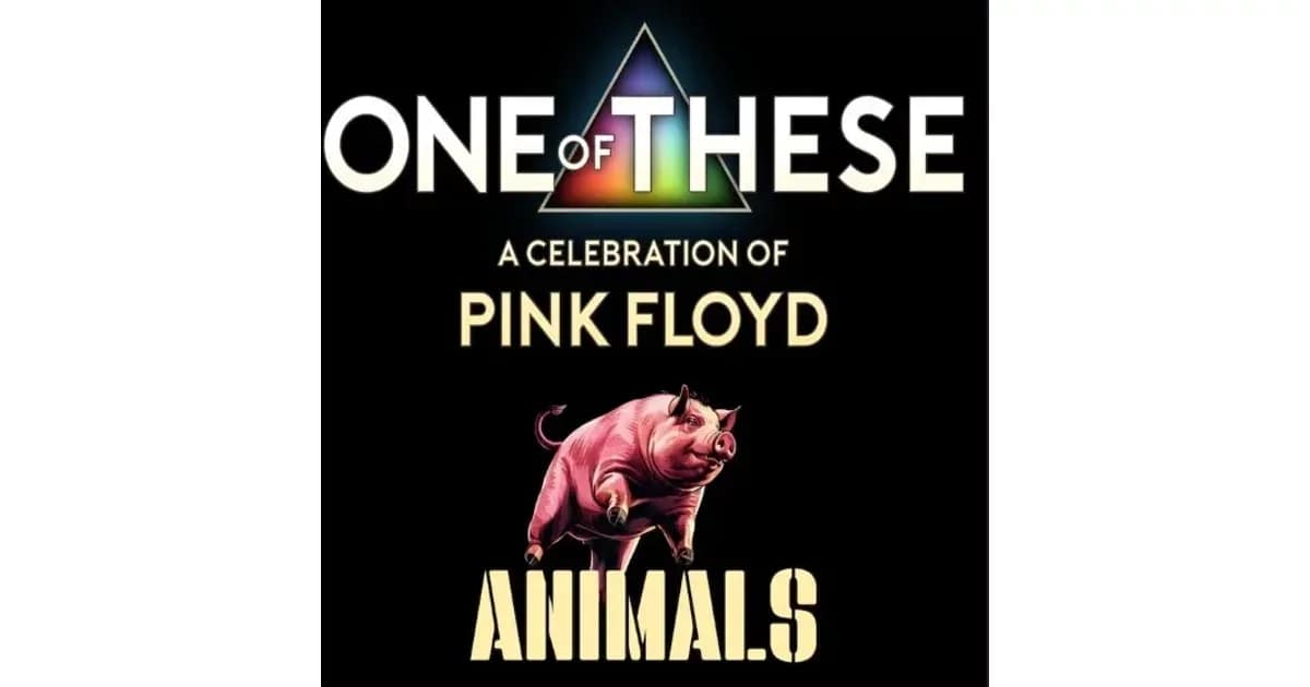 One Of These - – A celebration of Pink Floyd / Animals event image