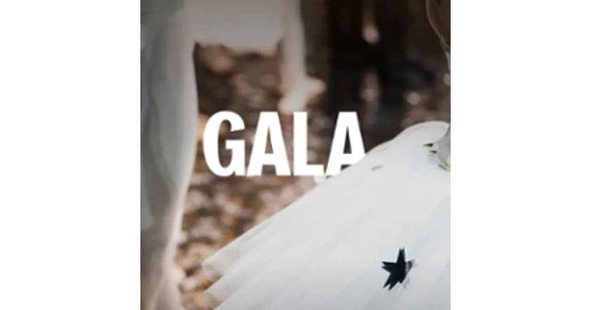 Gala des Écoles de Danse event image
