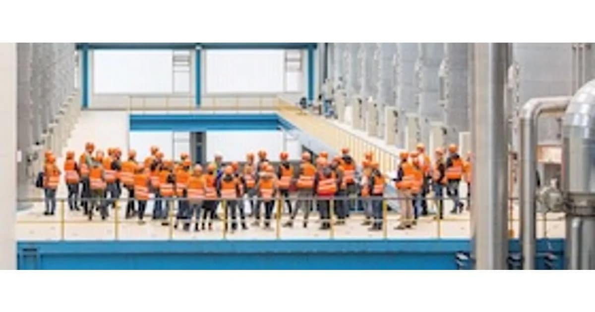 Führung Nordzucker Werk Uelzen - "Von der Rübe zum Zucker" event image