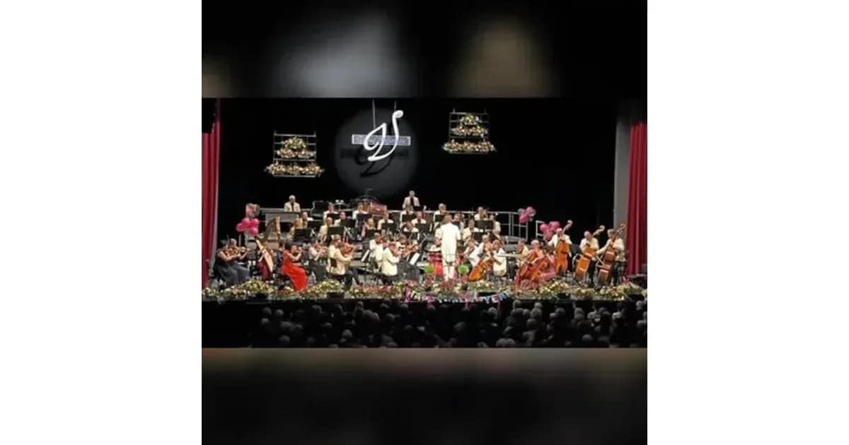 Weihnachtliches Sinfoniekonzert - Vogtland Philharmonie Greiz Reichenbach event image