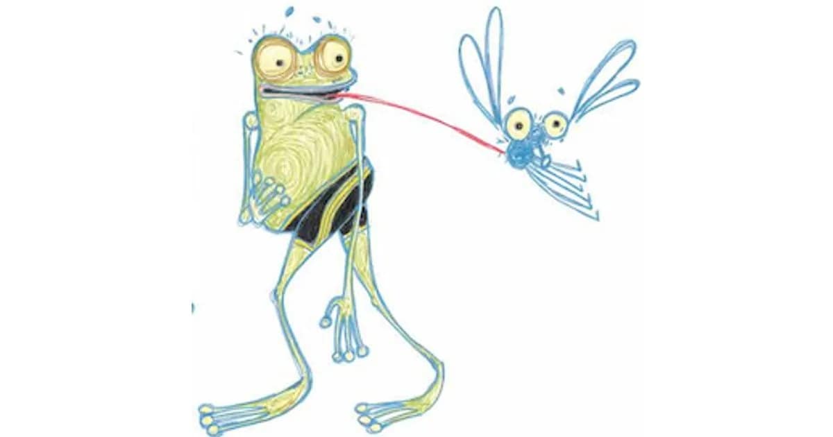 Die Wahrheit über den Froschkönig - nach dem Bilderbuch „Froschkönig oder so“ von Achim Sonntag event image