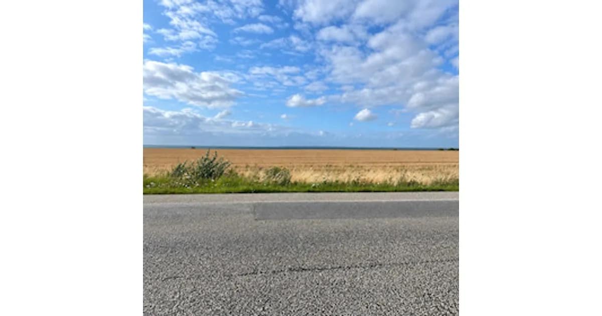 Road Movies event image