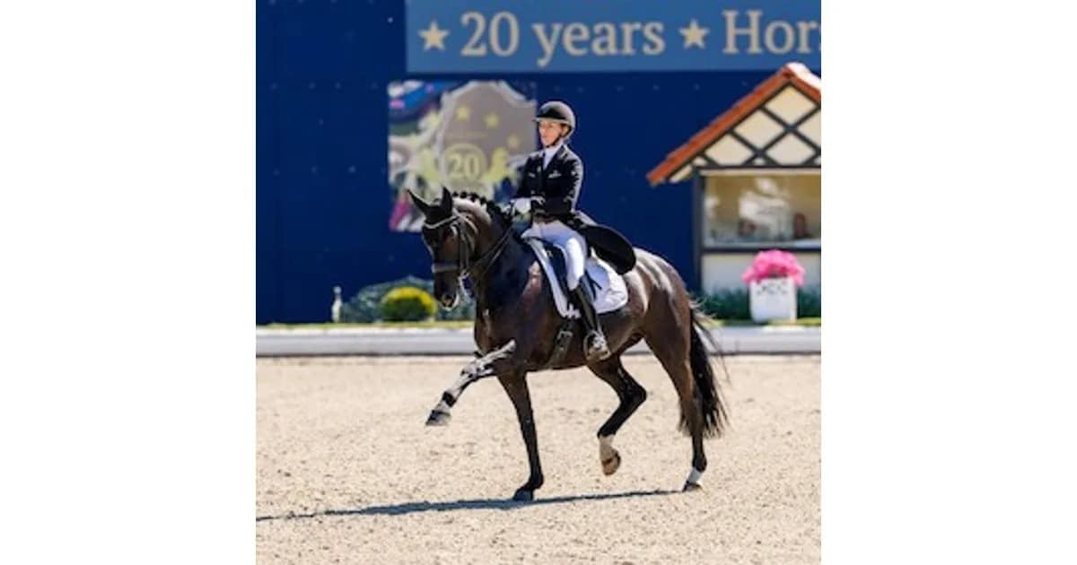 Horses & Dreams 2027 - Horses & Dreams - Tagesveranstaltung Donnerstag event image
